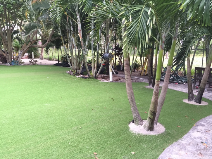 Installing Artificial Grass Isla Vista, California Paver Patio, Commercial Landscape