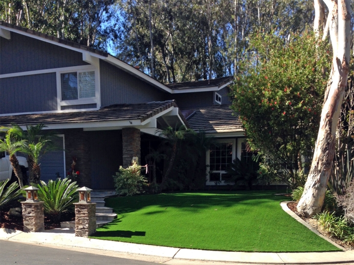 Installing Artificial Grass Las Flores, California Roof Top, Front Yard Ideas