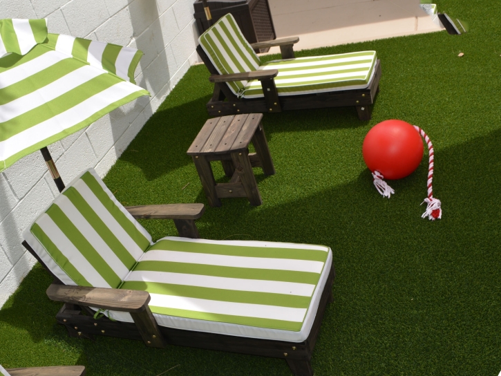 Outdoor Carpet Burbank, California Design Ideas, Backyard Landscape Ideas
