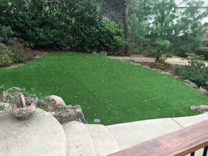 Outdoor Carpet Camarillo, California Landscaping Business, Backyard Designs
