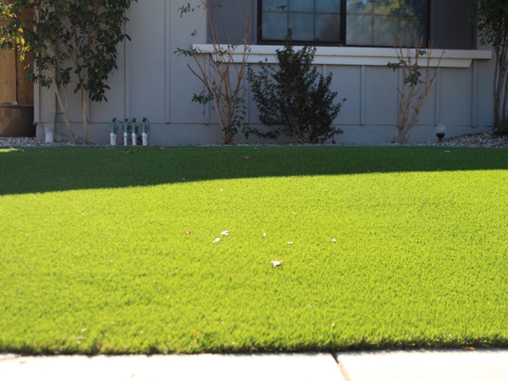 Outdoor Carpet Santa Susana, California Garden Ideas, Front Yard Ideas