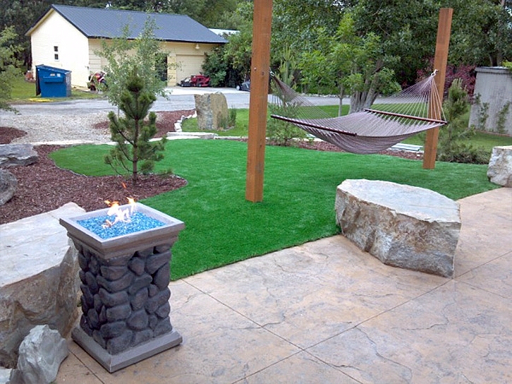 Plastic Grass Los Berros, California Landscaping Business, Front Yard Landscaping Ideas