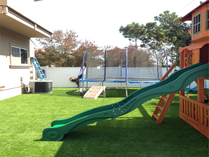 Plastic Grass Oxnard, California Playground, Backyard Landscape Ideas