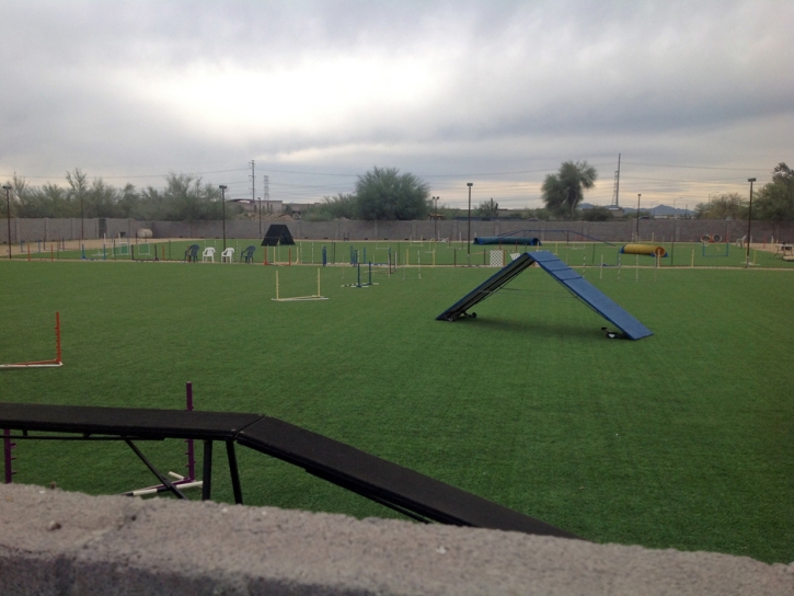 Plastic Grass Wofford Heights, California Backyard Soccer, Parks
