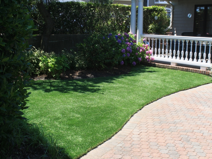 Synthetic Grass Compton, California Pet Grass, Front Yard Landscape Ideas