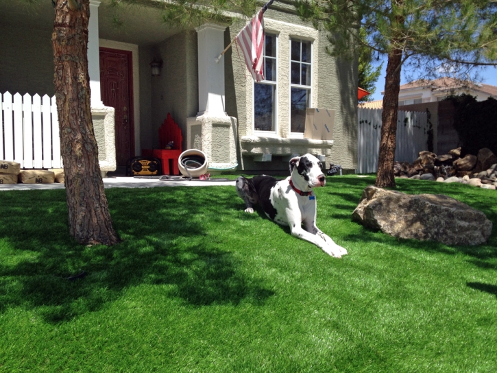Synthetic Grass Cost Los Serranos, California Landscaping Business, Front Yard Landscaping Ideas