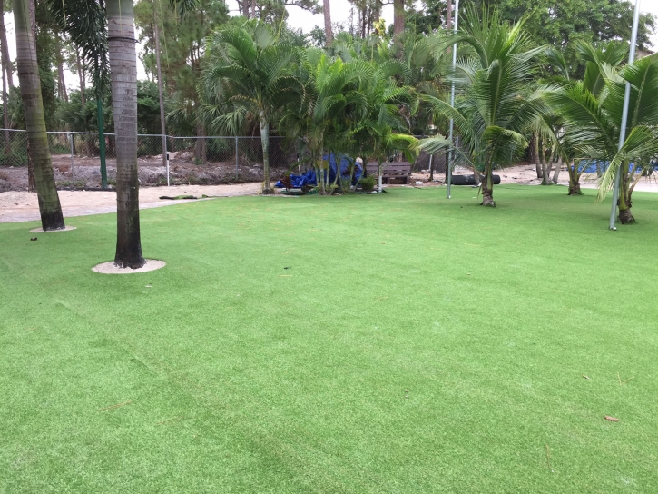Synthetic Grass Cost Pine Mountain Club, California Backyard Playground, Commercial Landscape
