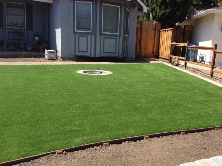 Synthetic Grass Oxnard Shores, California City Landscape, Small Backyard Ideas