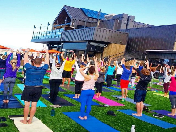 Synthetic Grass Rialto, California Paver Patio, Commercial Landscape