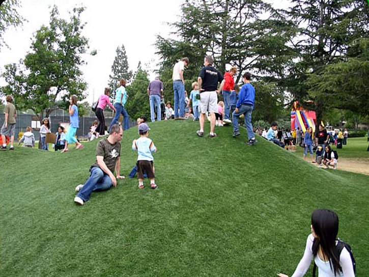 Synthetic Grass Romoland, California Landscaping, Parks