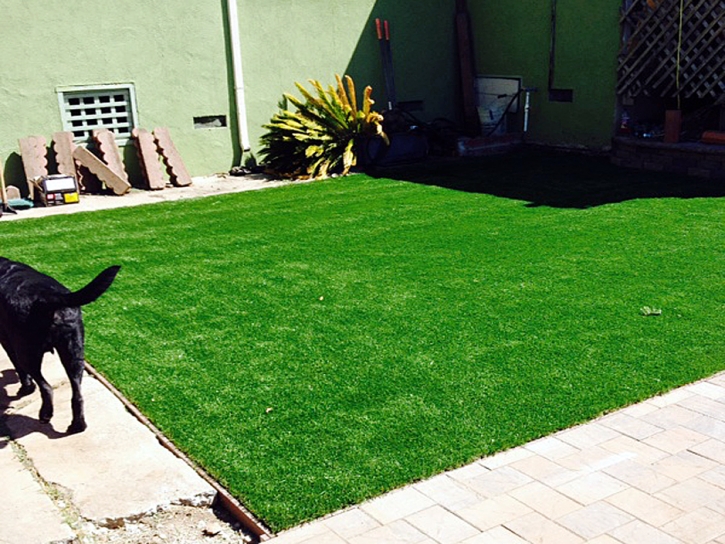 Synthetic Lawn Alpaugh, California Backyard Deck Ideas, Dogs Park