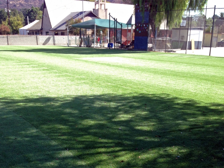 Synthetic Lawn Buellton, California Landscape Design, Parks