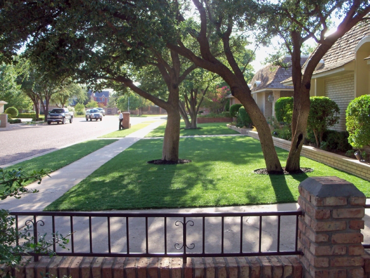 Synthetic Lawn Cherokee Strip, California City Landscape, Front Yard