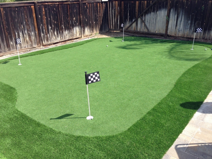 Synthetic Lawn Hermosa Beach, California Golf Green, Backyard Makeover