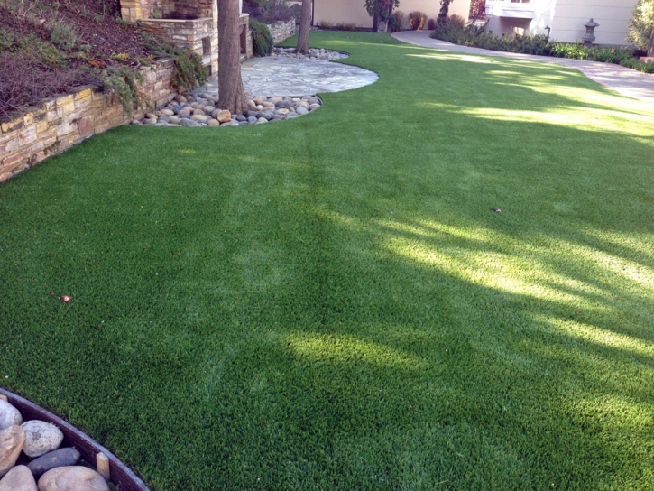 Synthetic Lawn South San Gabriel, California Pet Grass, Backyard Garden Ideas
