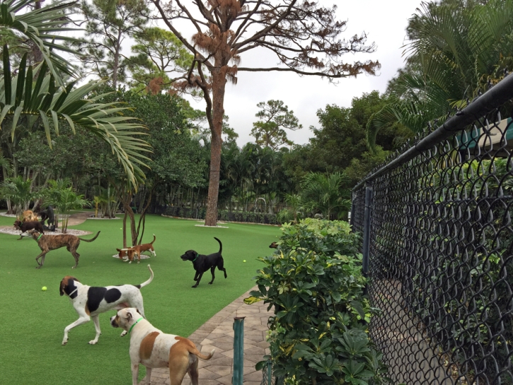 Synthetic Turf Supplier Callender, California Dogs, Commercial Landscape