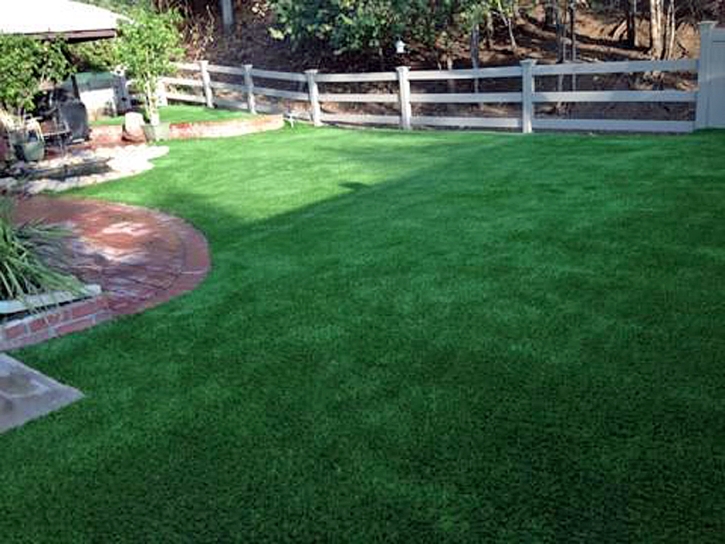 Synthetic Turf Supplier Garey, California Watch Dogs, Backyard Landscaping Ideas