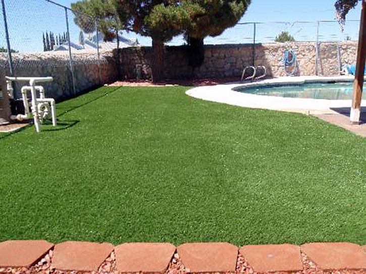 Synthetic Turf Supplier Newport Beach, California Watch Dogs, Above Ground Swimming Pool