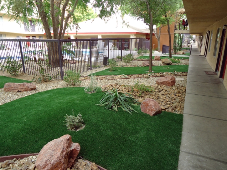 Turf Grass Goleta, California Landscape Ideas, Commercial Landscape