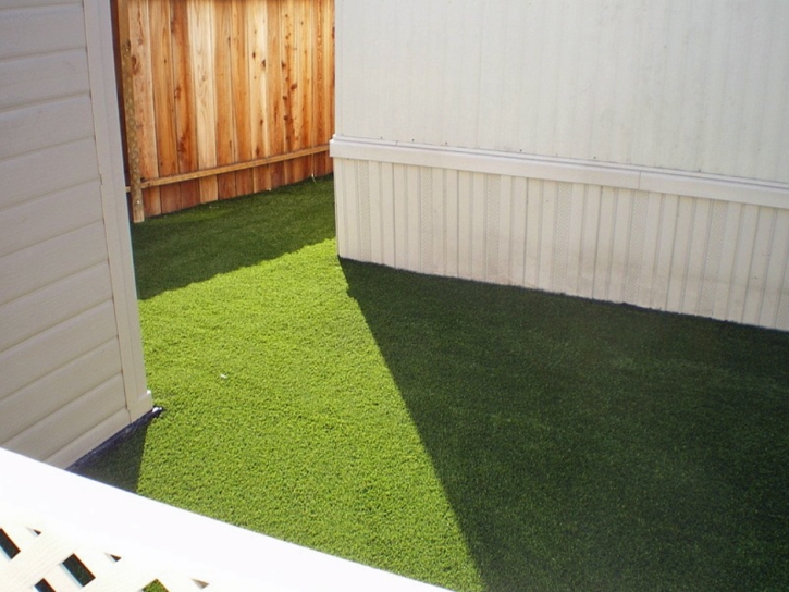 Turf Grass Mexican Colony, California Lawn And Landscape, Backyard Ideas