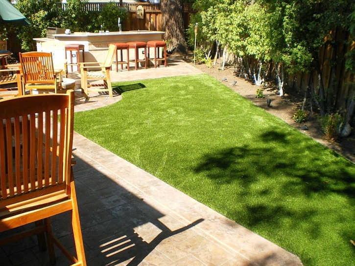 Turf Grass Pasadena, California Pictures Of Dogs, Backyard Ideas
